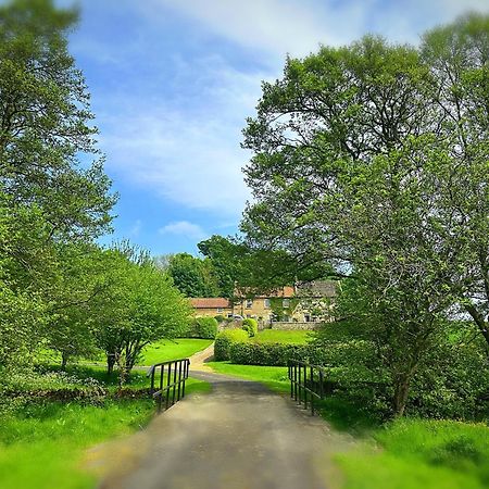 Old Orchard Cottage, Wykeham Scarborough Esterno foto